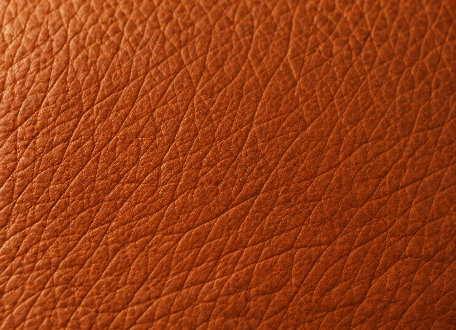 Plain leather, no logo